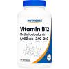 240 Count (Pack of 1)